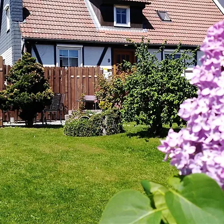 Langes Apartament *